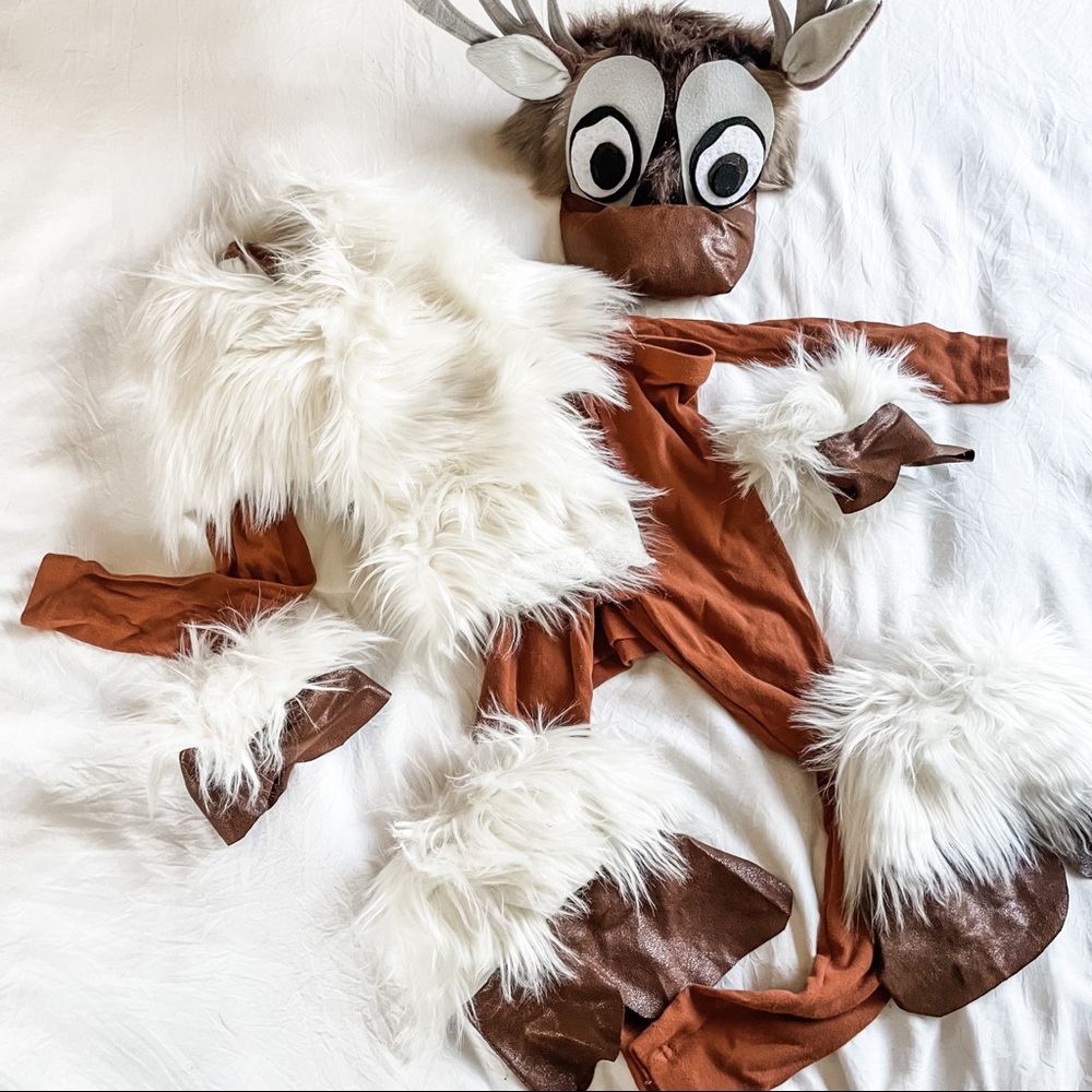 Handmade Sven Costume